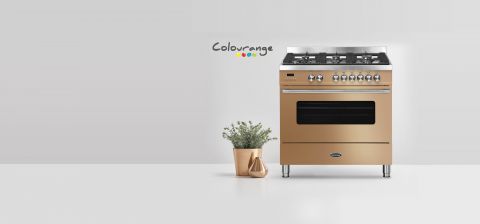 Colourange Cooker next to plants and logo